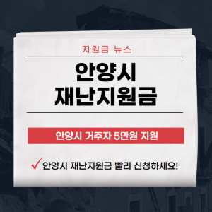 안양시 재난지원금