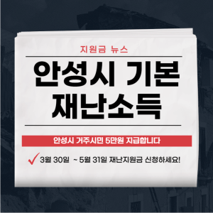 안성시 기본 재난소득