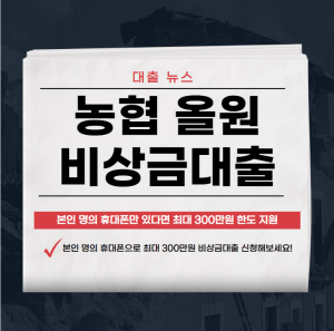 농협 올원 비상금대출