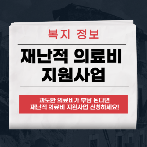 재난적 의료비 지원사업
