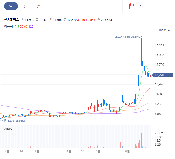 신송홀딩스 주가정보