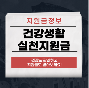 건강생활실천지원금