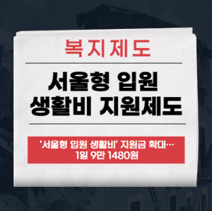 서울형 입원 생활비 지원제도