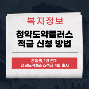 청년도약플러스적금