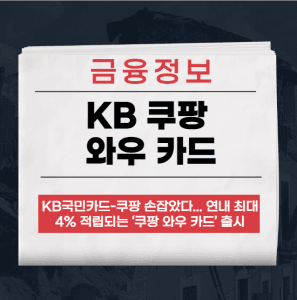 KB 쿠팡 와우 카드