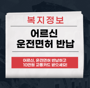서울시의 고령 운전자