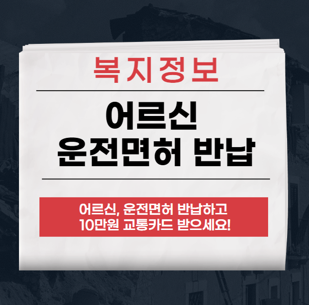 서울시의 고령 운전자 지원 정책 운전면허 반납하고 교통카드 혜택 챙기기