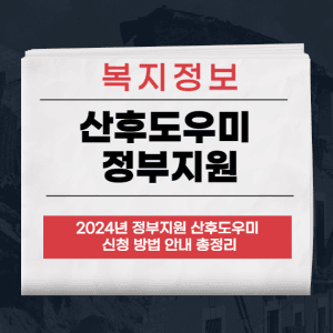 산후도우미 정부지원