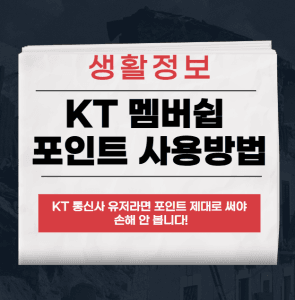KT 멤버쉽