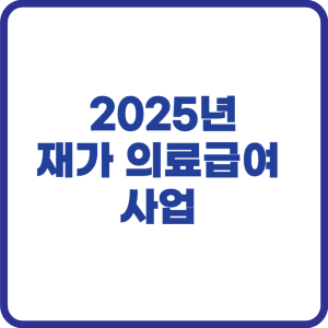 재가 의료급여 사업