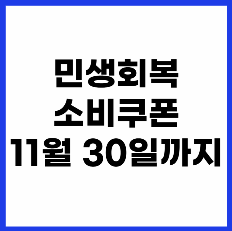민생회복 소비쿠폰