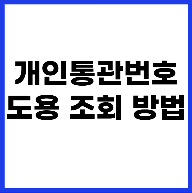 개인통관번호 도용 조회