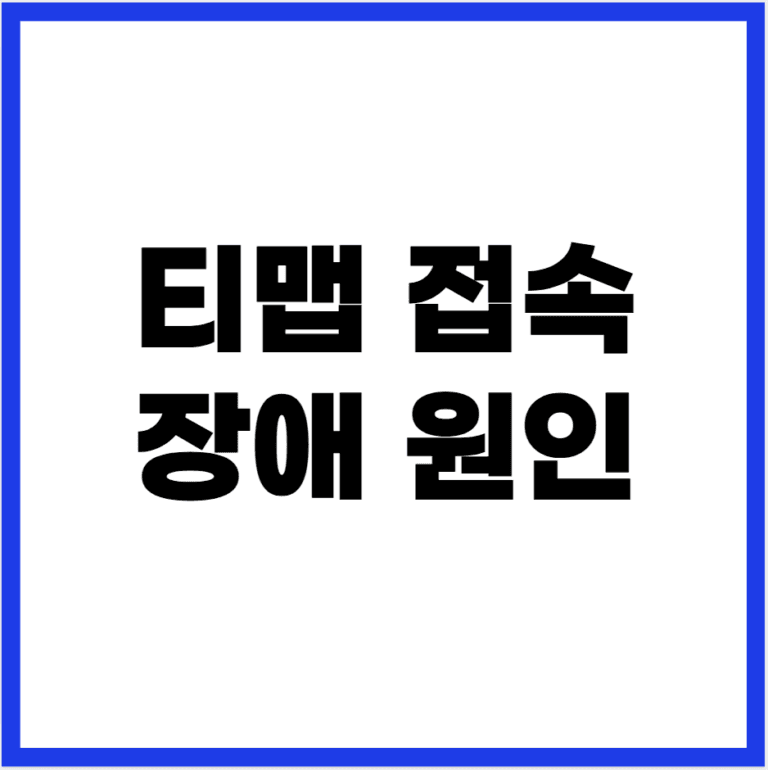 티맵 접속 장애