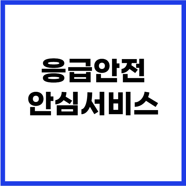 응급안전안심서비스